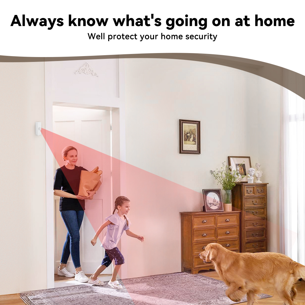 Sensor de Movimiento PIR Intel - Smart Home Wiz reseña y precio